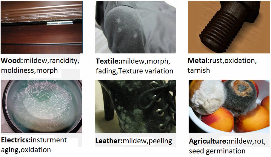 DMF Free Super Dry Bag Desiccant for Shipping Container